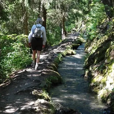 Luxlax * Fiesch