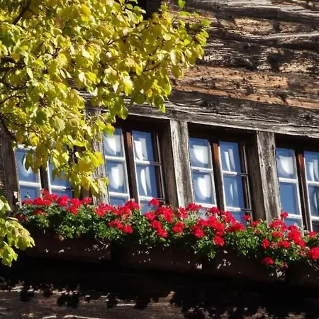 Luxlax Apartman Fiesch